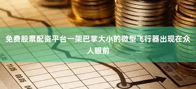 免费股票配资平台一架巴掌大小的微型飞行器出现在众人眼前