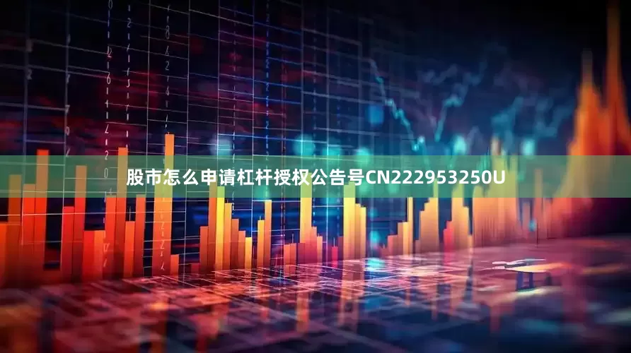 股市怎么申请杠杆授权公告号CN222953250U