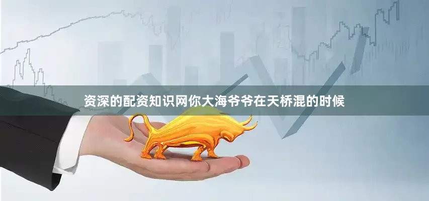 资深的配资知识网你大海爷爷在天桥混的时候