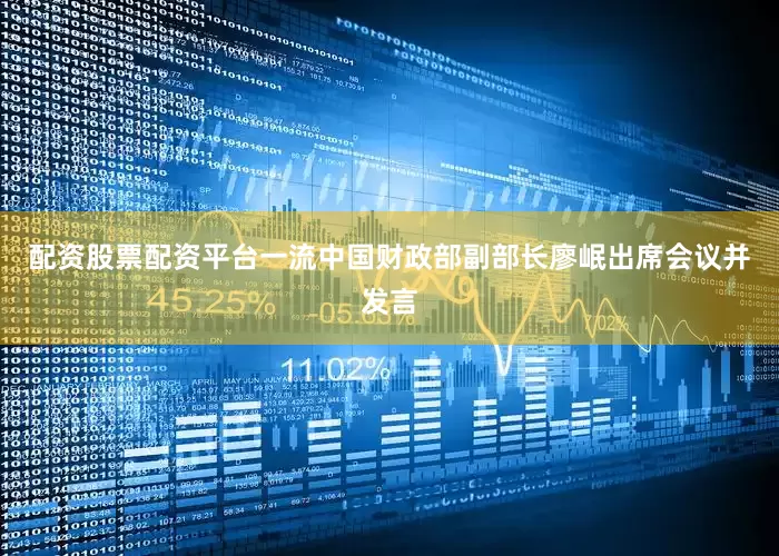 配资股票配资平台一流中国财政部副部长廖岷出席会议并发言