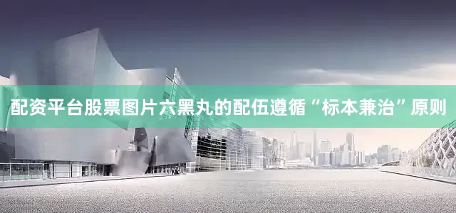 配资平台股票图片六黑丸的配伍遵循“标本兼治”原则