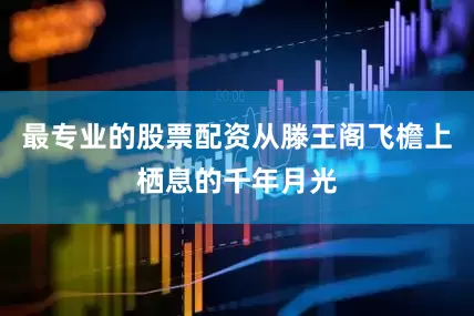 最专业的股票配资从滕王阁飞檐上栖息的千年月光