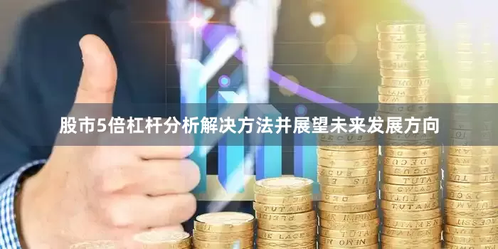 股市5倍杠杆分析解决方法并展望未来发展方向